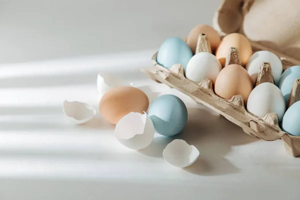 Натурально Окрашенные Коричневые Белые Яйца Яичной Коробке Солнечными Лучами Пасхальная — стоковое фото