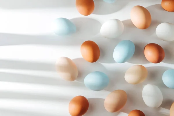 Telur Berwarna Alami Dengan Lampu Matahari Komposisi Dalam Warna Pastel — Stok Foto