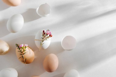 Doğal renkli yumurta sabah sunlights çiçeklerle süslenmiş. Pastel renklerde şık en az kompozisyonlar. Paskalya kavramı.