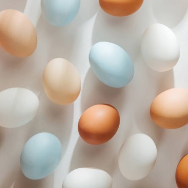 Sunlights doğal renkli yumurta. Besteleri pastel renklerde. Paskalya consept. Düz yatıyordu, en iyi görünümü 