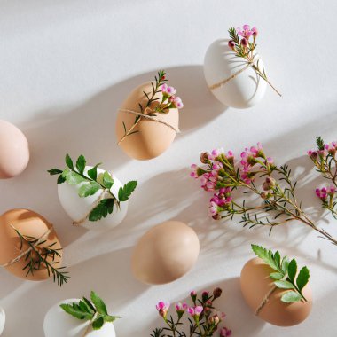 Doğal renkli yumurta sabah sunlights çiçeklerle süslenmiş. Pastel renklerde şık en az kompozisyonlar. Paskalya kavramı.