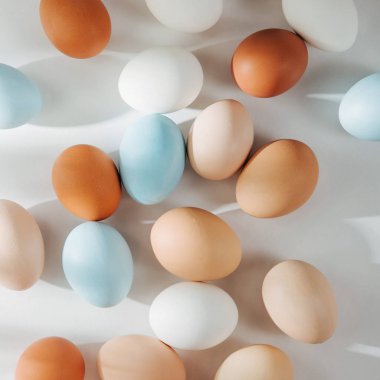 Sunlights doğal renkli yumurta. Besteleri pastel renklerde. Paskalya consept. Düz yatıyordu, en iyi görünümü 