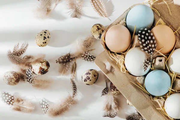 Многие Красочные Органические Яйца Яичной Коробке Солнечными Лучами Произведения Пастельных — стоковое фото