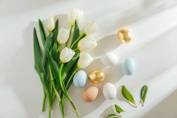 Tulipanes Blancos Huevos Con Luz Solar Sobre Fondo Blanco Elegantes — Foto de Stock