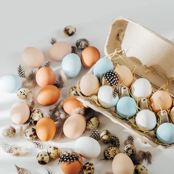 Warna Alami Coklat Dan Telur Putih Dalam Kotak Telur Dengan — Stok Foto