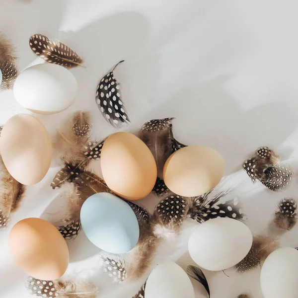 Natural Color Marrón Codorniz Blanco Huevos Con Luz Solar Composiciones — Foto de Stock