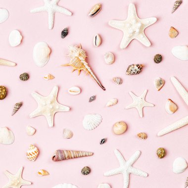 Deniz kabuklarını ve denizyıldızı soluk pembe bir arka plan üzerinde. Yaz saati kavramı. Deniz desen. 