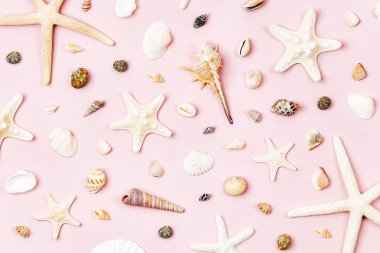 Deniz kabuklarını ve denizyıldızı soluk pembe bir arka plan üzerinde. Yaz saati kavramı. Deniz desen. 