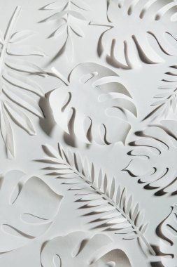 Tropikal yapraklar deseni. Beyaz arka plan üzerinde çeşitli kağıt yaprakları. Kağıt sanatı. Düz döşeme, üst görünüm