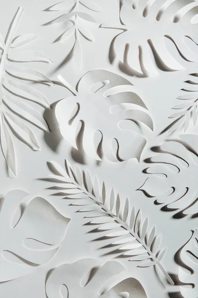 Tropical leaves pattern. Various paper leaves on white background. Paper art. Flat lay, top view