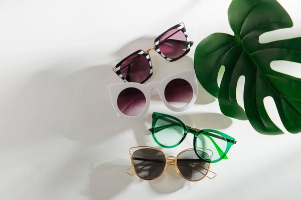Gafas Sol Moda Hoja Tropical Asiento Plano Vista Superior Concepto —  Fotos de Stock