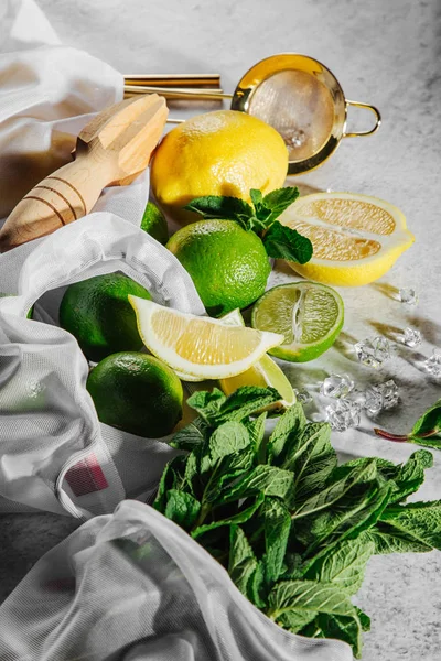 Ingredientes Para Cóctel Menta Limón Limones Hielo Piso Tendido Vista — Foto de Stock