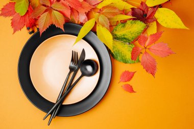 Festival tablo ayarı ile parlak sonbahar turuncu zemin üzerine bırakır. Düz yatıyordu, en iyi görünüm, kopya alanı