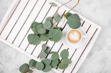 Bir fincan kahve Beyaz ahşap servis tepsisi ve okaliptüs dalı. Düz yatıyordu, en iyi görünümü