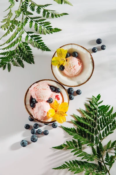 緑の葉とココナッツの半分にアイスクリームの装飾花やベリーのボール 夏の熱帯の概念 — ストック写真