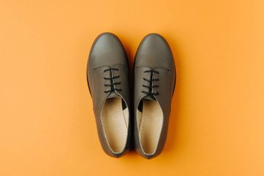 renkli şık kadın ilkbahar veya sonbahar ayakkabıları üst görünümü