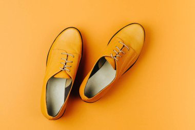 renkli şık kadın ilkbahar veya sonbahar ayakkabıları üst görünümü