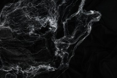 Siyah arka plan, Cadılar Bayramı kavramı üzerinde örümcek ağı