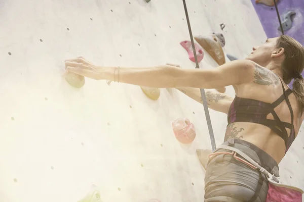 Woman with perfect fit body, beautiful muscular arms, training on a climbing wall in sport hall