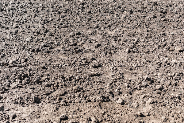 Сухое сельское хозяйство. Текстура почвы. Абстрактный естественный фон
.
