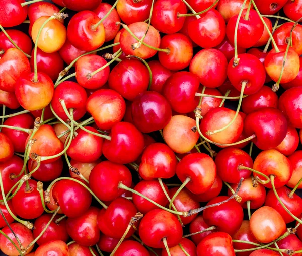 stock image Cherries as food background. Top view.