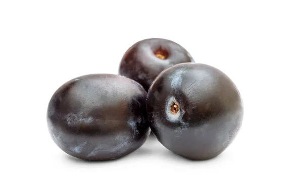 Trois Prunes Mûres Sur Blanc — Photo