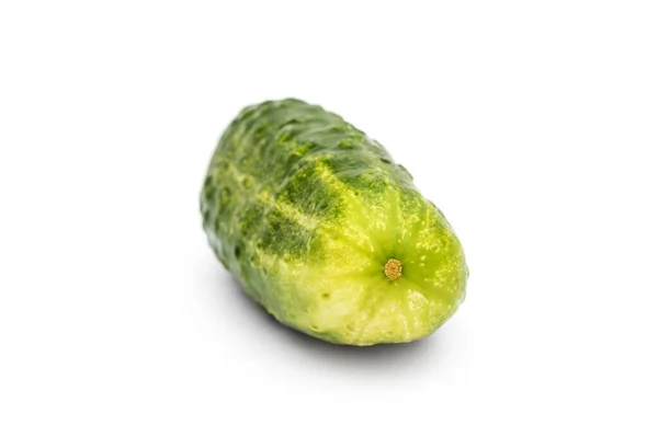 白色背景的黄瓜 — 图库照片