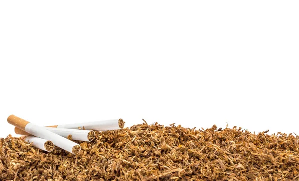 Okraj Cigaret Hromadě Řezaného Tabáku Izolovaného Bílém — Stock fotografie