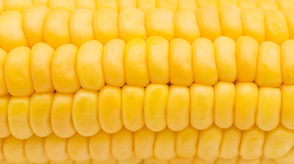 Texture Corn Close — Stock Photo, Image