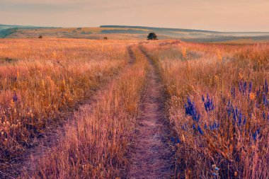 Orta Rusya 'nın panoramik manzarası. Tepeleri ve kır yolu olan tarımsal kırsal bölge. Samara vadilerinin yaz manzarası. Rus kırsalında.
