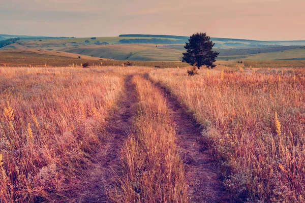 Orta Rusya 'nın panoramik manzarası. Tepeleri ve kır yolu olan tarımsal kırsal bölge. Samara vadilerinin yaz manzarası. Rus kırsalında.