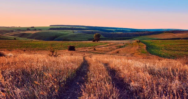 丘や田舎の道路と中央ロシアの農業地方のパノラマ風景 サマラ渓谷の夏の風景 ロシアの田舎 — ストック写真