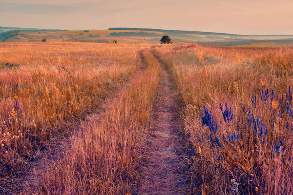 丘や田舎の道路と中央ロシアの農業地方のパノラマ風景 サマラ渓谷の夏の風景 ロシアの田舎 — ストック写真