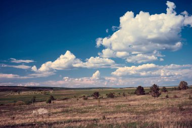 Orta Rusya 'nın panoramik manzarası. Tepeleri ve kır yolu olan tarımsal kırsal bölge. Samara vadilerinin yaz manzarası. Rus kırsalında.