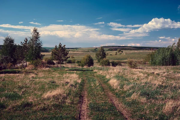 丘や田舎の道路と中央ロシアの農業地方のパノラマ風景 サマラ渓谷の夏の風景 ロシアの田舎 — ストック写真