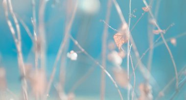 Bardaktan boşanırcasına ıslak sonbahar arkaplanı, parkta bardaktan boşanırcasına yağmur, sırılsıklam camlara yağmur damlaları. Sonbahar yağmurlu manzarası bulanıklaştı.