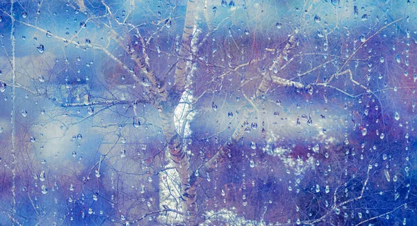 Glas Nasser Herbsthintergrund Regen Parkglas Nasse Oberfläche Regentropfen Auf Das — Stockfoto