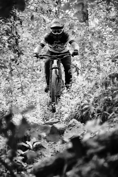 Rússia Moscou Agosto 2020 Ciclista Profissional Descendo Colina Motociclista Andando — Fotografia de Stock