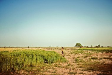 Vrindavan, Hindistan - Temmuz 2018: Tarlada tanımlanamayan bir Hintli kırsal çocuk ve sabah Hindistan 'ın kırsal kesimlerinde oynuyor.
