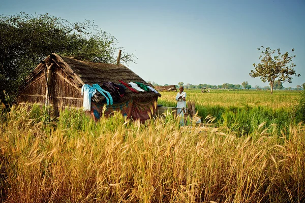 Vrindavan Ινδία Ιουλ 2018 Ένας Μεσήλικας Ινδός Αγρότης Στέκεται Κοντά — Φωτογραφία Αρχείου