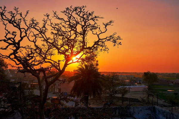 Puesta Sol India Cerca Del Templo Madan Mohan Ciudad Santa — Foto de Stock