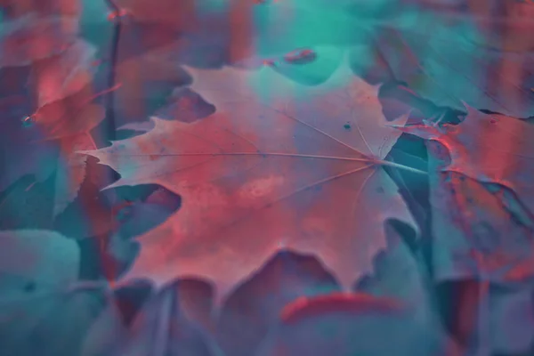 Barevné Podzimní Listy Gradientem Pro Pozadí Abstraktní Textura Měkký Rozmazaný — Stock fotografie
