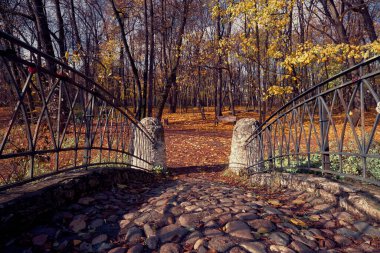 Sonbahar parkı manzarası - sonbahar parkında ağaçların arasında küçük taşlanmış köprü ve kuru izin