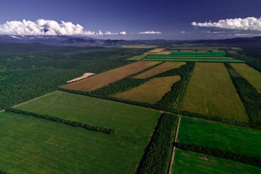 Rusya 'daki Kamçatka' daki çiftlik arazilerinin hava manzarası. Tarım Arazisi.