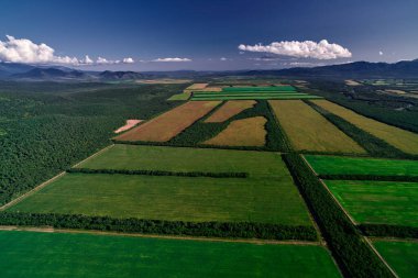 Rusya 'daki Kamçatka' daki çiftlik arazilerinin hava manzarası. Tarım Arazisi.