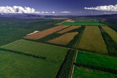 Rusya 'daki Kamçatka' daki çiftlik arazilerinin hava manzarası. Tarım Arazisi.