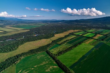 Rusya 'daki Kamçatka' daki çiftlik arazilerinin hava manzarası. Tarım Arazisi.