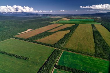 Rusya 'daki Kamçatka' daki çiftlik arazilerinin hava manzarası. Tarım Arazisi.