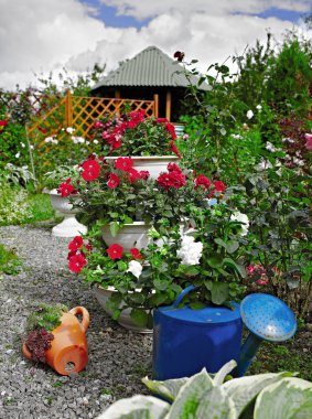 Bahçedeki saksılarda renkli çiçekler. Bahçe kulübesi renkli saksı bitkileri ve çalılarla çevrili. Güpegündüz, bir kovanın içindeki güzel bahçe çiçekleri..