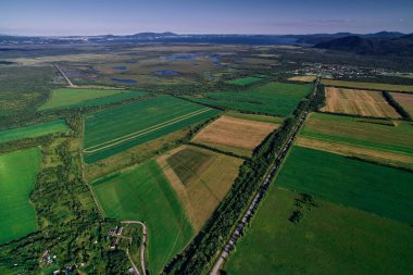Rusya 'daki Kamçatka' daki çiftlik arazilerinin hava manzarası. Tarım Arazisi.